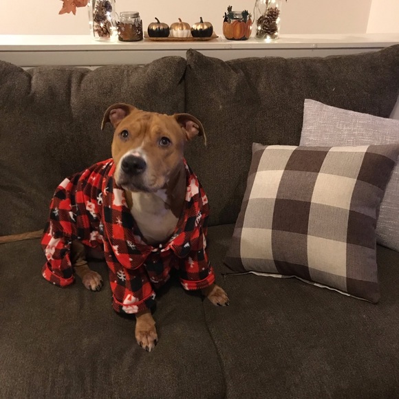 Meet your posher - Picture 3 of 3